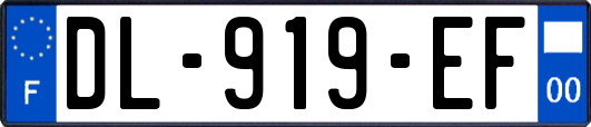 DL-919-EF
