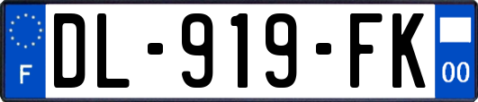 DL-919-FK