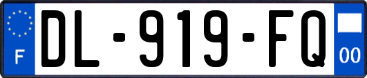 DL-919-FQ