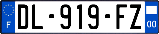 DL-919-FZ