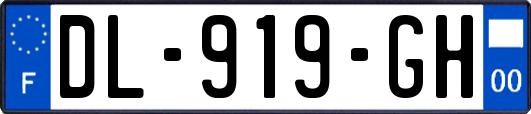DL-919-GH