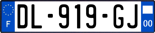 DL-919-GJ