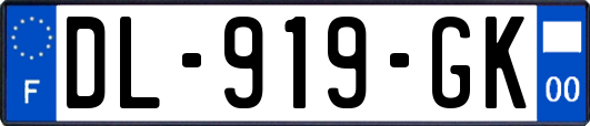 DL-919-GK