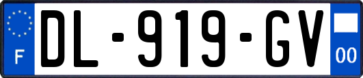 DL-919-GV