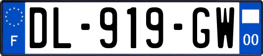 DL-919-GW