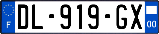 DL-919-GX