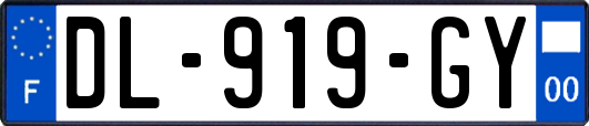 DL-919-GY