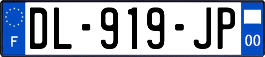 DL-919-JP