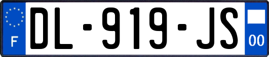 DL-919-JS