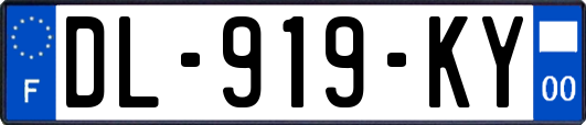 DL-919-KY