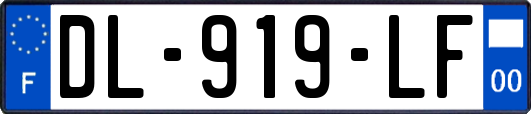 DL-919-LF