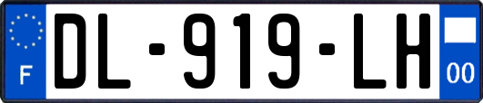 DL-919-LH