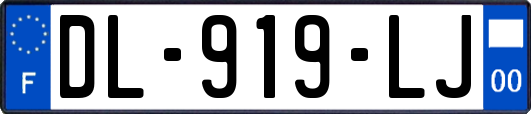 DL-919-LJ