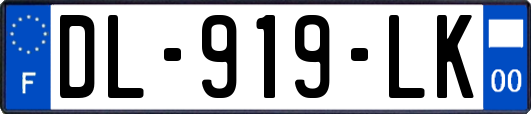 DL-919-LK
