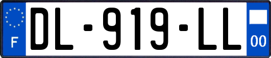 DL-919-LL