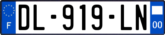 DL-919-LN