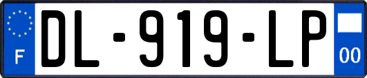 DL-919-LP