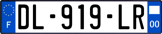 DL-919-LR
