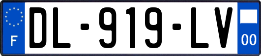 DL-919-LV