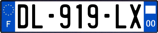 DL-919-LX
