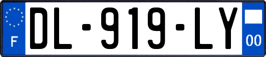 DL-919-LY
