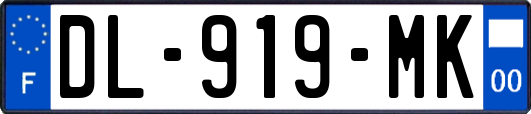 DL-919-MK