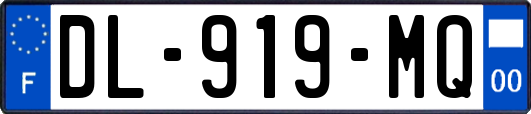 DL-919-MQ