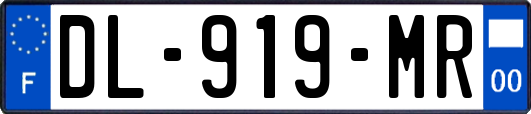 DL-919-MR