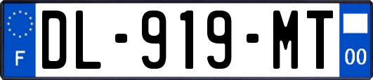 DL-919-MT