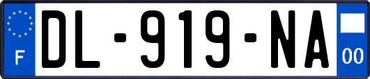 DL-919-NA