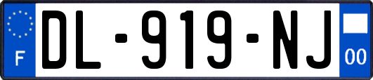 DL-919-NJ