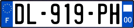 DL-919-PH