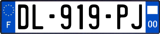 DL-919-PJ