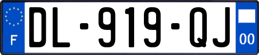 DL-919-QJ