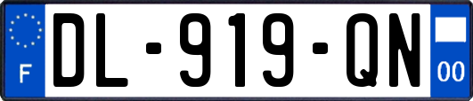 DL-919-QN