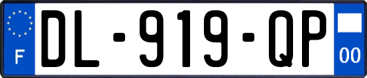 DL-919-QP