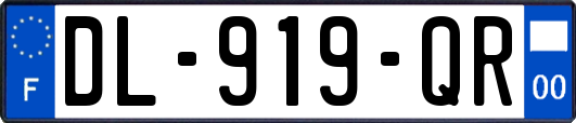 DL-919-QR