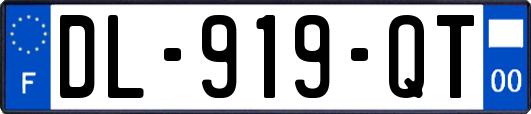 DL-919-QT