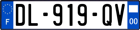 DL-919-QV