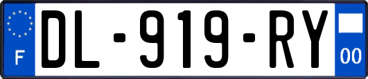 DL-919-RY