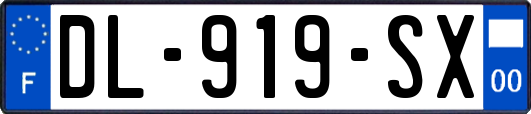 DL-919-SX