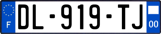 DL-919-TJ