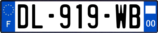 DL-919-WB