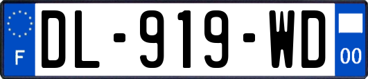 DL-919-WD