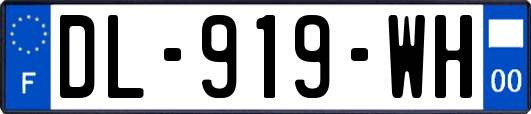 DL-919-WH