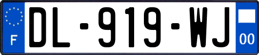 DL-919-WJ