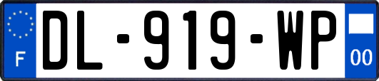 DL-919-WP