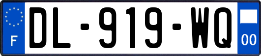 DL-919-WQ