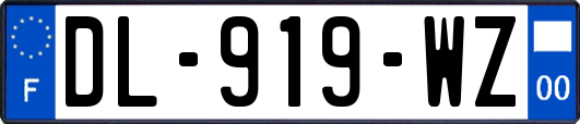 DL-919-WZ