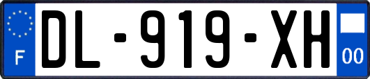 DL-919-XH